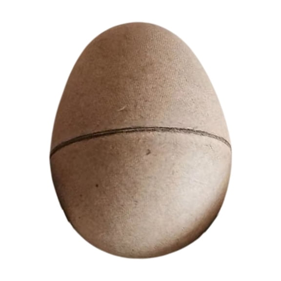 pangttian 10 Pcs DIY Paper Mache Easter Eggs, Easter Craft Supplies Blank Paper Eggs for Decorating Fillable Paint Your Own Eggs for Easter Party Ornaments Children Egg Basket Stuffers Fillers