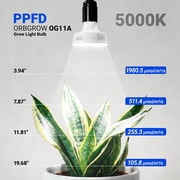 Barrina Orbgrow OG11A2 Clip On Grow Lights for Indoor Plants Integrated Stepless Dimming & Timing 5000K 22W(2 x 11W, 200 Watt Equiv) Full Spectrum 2-Gooseneck with E26 Plant Light Bulbs