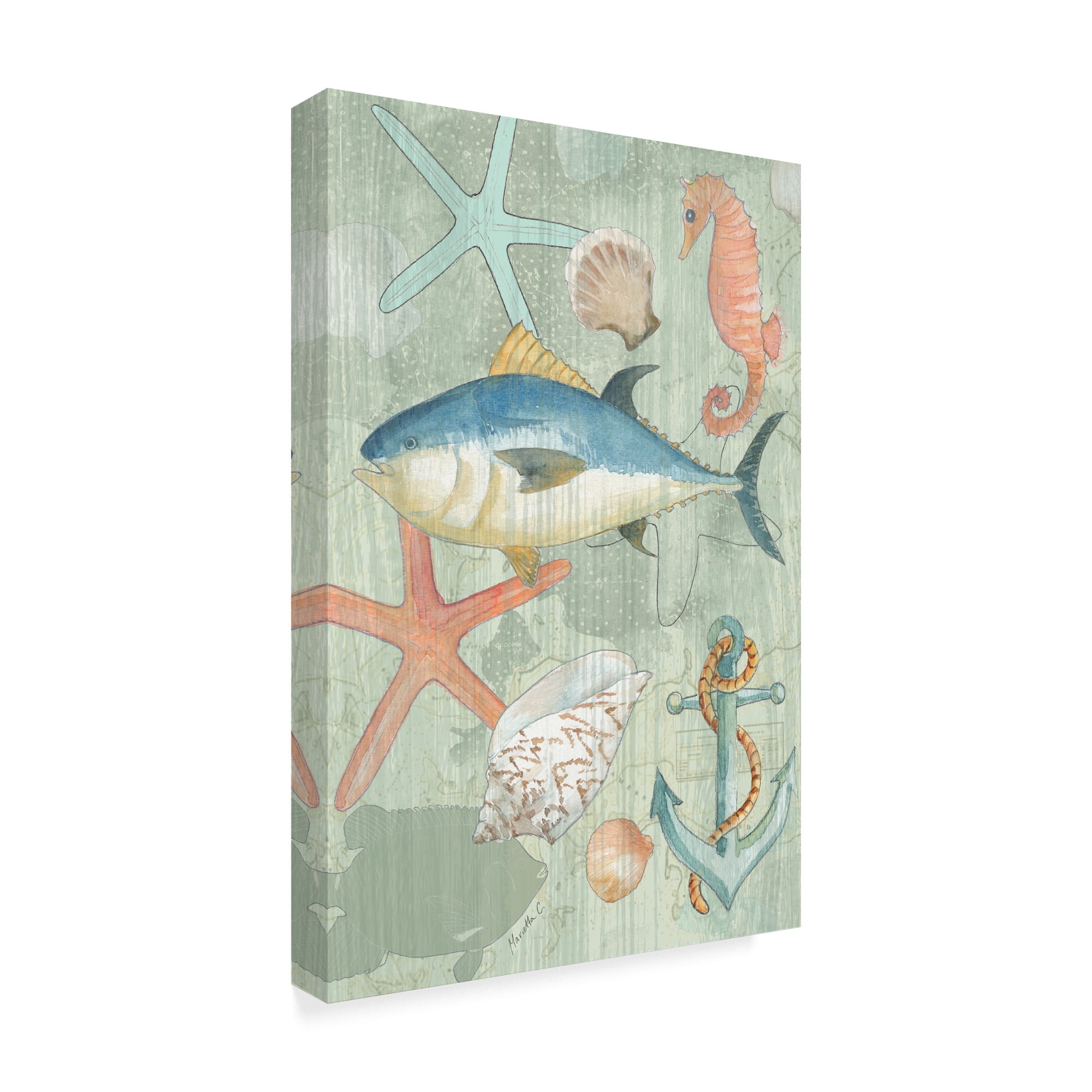 Trademark Fine Art 'Coastal Nautical 1' Canvas Art by Marietta Cohen Art And Design