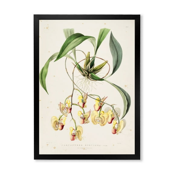 Designart 'Blossoming Vintage Flower I' Traditional Framed Art Print