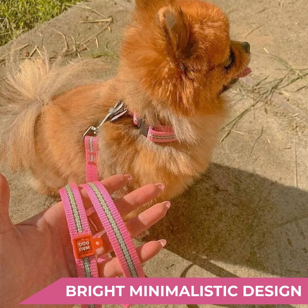 Nylon Reflective Dog Collar | Adjustable Dog Collar for Large, Small & Medium Dogs | Personalized Soft and Fashion Patterns Dog Collars | Boy & Girl Dog Collars with Durable Plastic Buckle - Purple