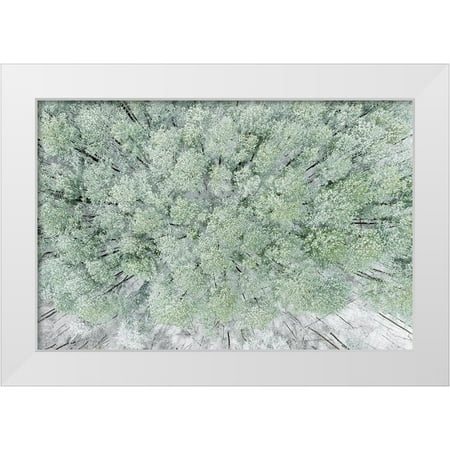 Day, Richard and Susan 14x11 White Modern Wood Framed Museum Art Print Titled - Aerial view of woods and white pine trees after a snowfall-Marion County-Illinois