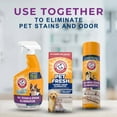 thumbnail image 5 of (4 pack) Arm & Hammer Carpet & Room Pet Fresh Odor Eliminator, 30 Ounce, 5 of 6