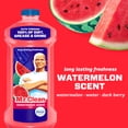 thumbnail image 4 of Mr. Clean All Purpose Cleaner, Cleaning Liquid, Watermelon, 41 fl oz, 4 of 9