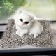 thumbnail image 3 of Gwong Juguete Peluche Simulación Cat Relleno Juguete Casa Decoración de Coche Embedded Bamboo Charcoal Bag Gwong 30008222, 3 of 7
