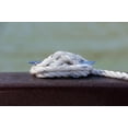 thumbnail image 4 of D DRIFT ALL THINGS WATER 3/8” x 100’ Twisted Nylon Reflective Anchor Line with Shackle, White and Silver, 4 of 11