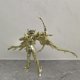 thumbnail image 3 of Figura de acción de los Caballeros del Zodíaco de 17 cm, modelo nuevo de Saint Seiya Myth Cloth Ex Sagitario Aiolos, armadura de metal de 24 quilates, juguetes de regalo, 3 of 5