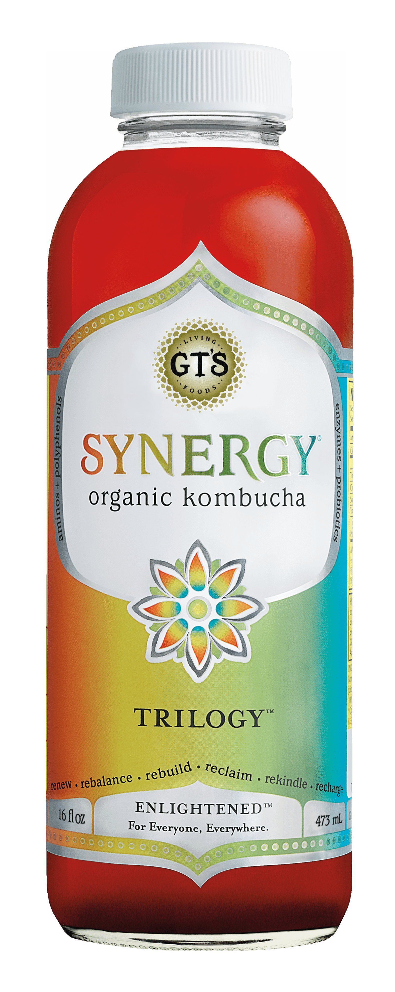 synergy drink website