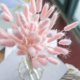 thumbnail image 4 of 60 piezas de flores secas de cola de conejo, arreglos florales naturales secos, ramo de decoración, hierba seca (rosa claro), 4 of 4