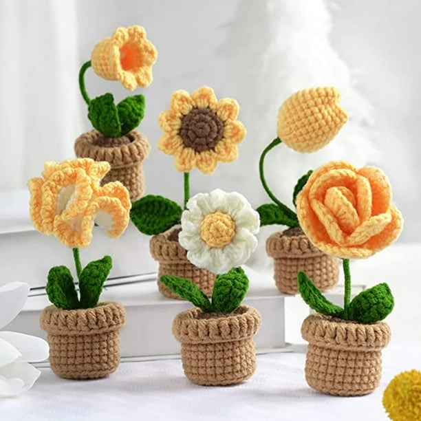 6 piezas de ganchillo en maceta, kit de flores en maceta para principiantes y expertos, bricolaje, plantas en maceta, kit de manualidades, juego completo de ganchillo, manualidades creativas de ganchi