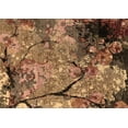 thumbnail image 1 of Ahgly Company Machine Washable Indoor Rectangle Oriental Brown Industrial Area Rugs, 8' x 10', 1 of 4
