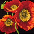 thumbnail image 3 of Dimensions Needlepoint Kit 14"X14"-Red Poppy Trio Stitched In Wool & Thread, 3 of 3