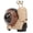 Brown, variant on Riousery Crawling Snail Baby Toy, Musical Light-Up Tummy Time Interactive Walking Toy for Infants & Toddlers, Green