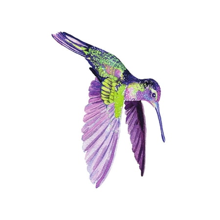 Hummingbird Home Wall Shelf Decor Animal Decorations Watercolor Hummingbird Home Wall Shelf Decor Animal Decorations Watercolor Small Sign 7 5x10 5 Inch