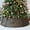 Espresso, variant on 42" Extra Large Brown Woven Hyacinth Wicker Christmas Tree Collar, Rustic Farmhouse Tree Basket for 9 ft/10 ft/12 ft Tree, Easy to Assemble Tree Skirt Collar