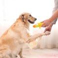 thumbnail image 4 of Squeaky Dog Chewing Toy Bite Resistant Latex Dog Molar Teeth Cleaning Tool, 4 of 7