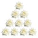 thumbnail image 1 of Cabezas de Rosas Artificiales de Terciopelo perfecl 10 Piezas Blanco, 1 of 8