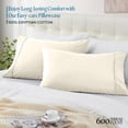 thumbnail image 2 of Ivory Egyptian Cotton Pillow Cases, 100% Egyptian Cotton, Standard/Queen Size 20x30 inch, Soft & Cooling, Hypoallergenic, Set of 2 Solid Pattern with Envelope Closure, 2 of 5
