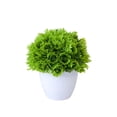 thumbnail image 1 of zhangmingg Bonsai Tree Miniature Potted for Home Desk, 1 of 5
