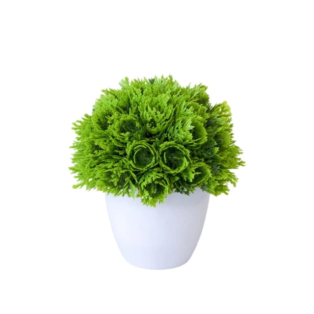 zhangmingg Bonsai Tree Miniature Potted for Home Desk