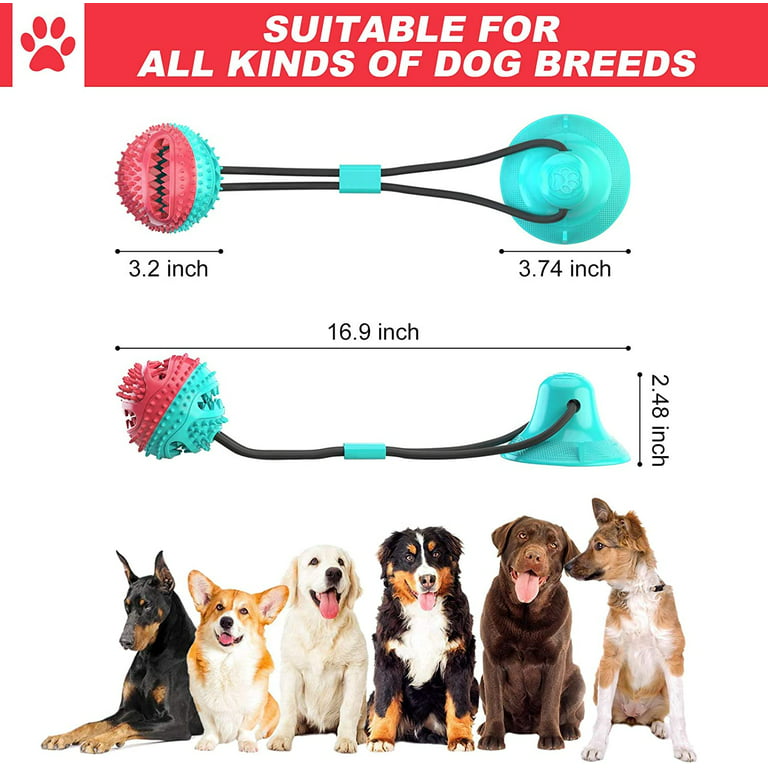 Grepol-V Suction Cup Dog Toys for Aggressive Chewers, Dog Chew Toys with  Built-in Bell, Rope Tug Ball for Multifunctional Interactive, Puppy Chew  Pet