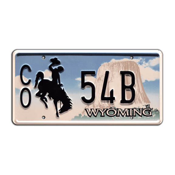 Longmire | Walt's Ford Bronco | CO 54B | Metal Stamped Replica Prop License Plate