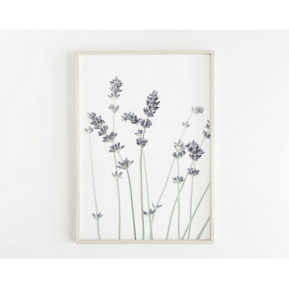 Lavender Art Print, Modern Farmhouse Decor, Botanical Print Purple Flower Print Minimalist Print Kitchen Wall Art Wall Art Wall Art, Modern Wall Decor, 8x12 UNFRAMED