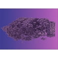 thumbnail image 1 of Ahgly Company Machine Washable Indoor Rectangle Transitional Bright Purple Area Rugs, 2' x 4', 1 of 7