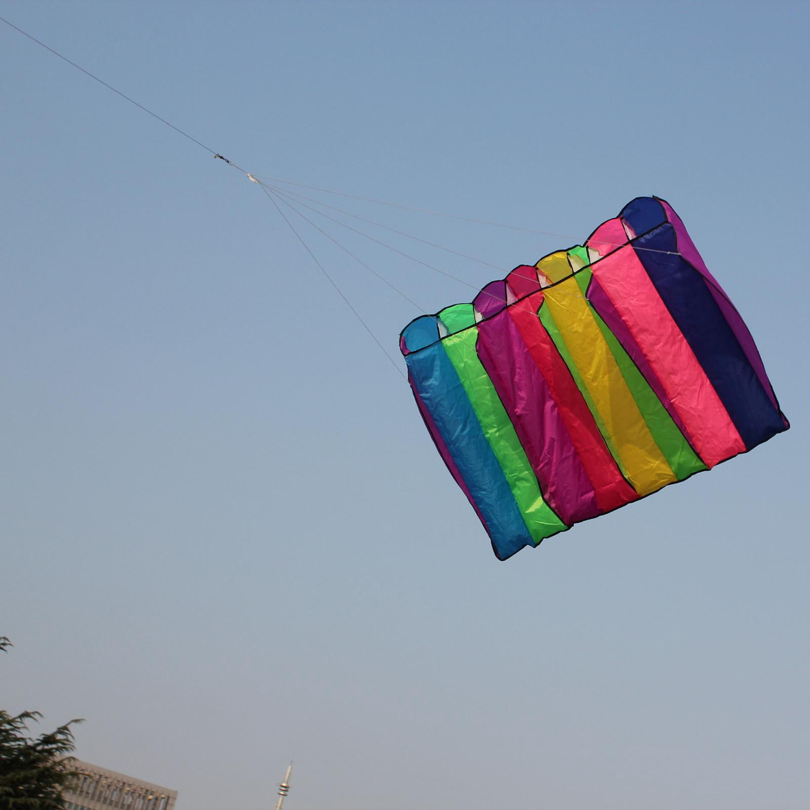 LeeQinersw Large and 9.84ft Flying for Outdoor Activities D D