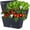 Black, variant on 6PCS Black 12.1" Self Watering Window Box Planters, Rectangular Flower Vegetable Pots with Drainage Holes & Breathable Trays for Balcony Windowsill Yard