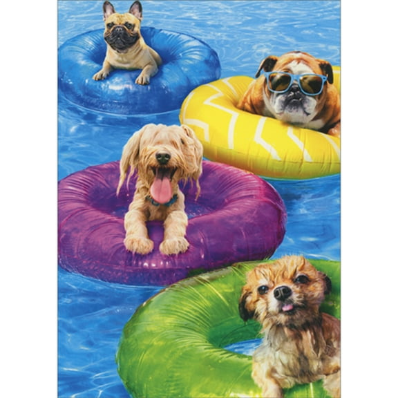 Avanti Press Dogs Floating in Colorful Innertubes in Pool Funny / Cute Birthday Card