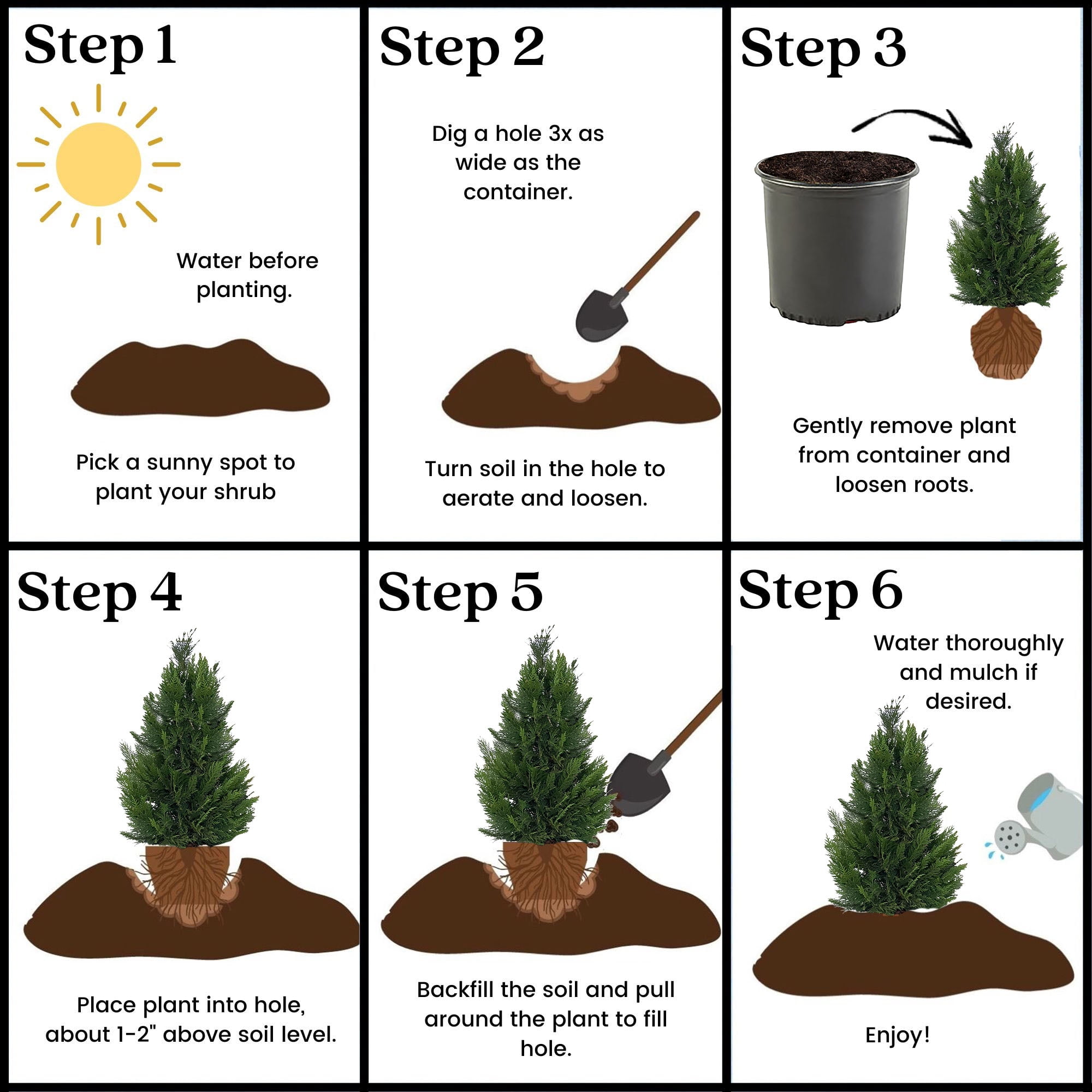 Expert Gardener 2.25 Gallon Leyland Cypress Evergreen Live Shrub