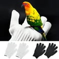 thumbnail image 3 of Anti-Bite Gloves Bird Parrots Training Animal Handling Gloves Protective Gloves, 3 of 10