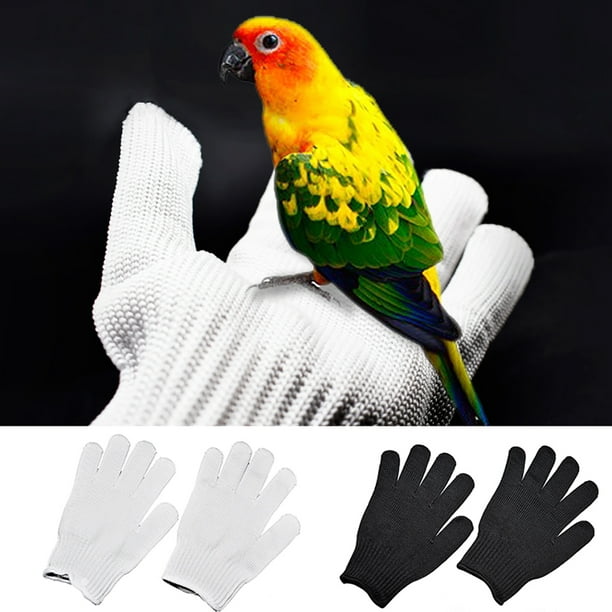 Anti Bite Gloves Bird Parrots Training Animal Handling Gloves Protective Gloves