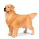 thumbnail image 3 of FELTECHELECTR Figura de Golden Retriever vívida, imitación de perro, adorno con diseño de animales, 3 of 7