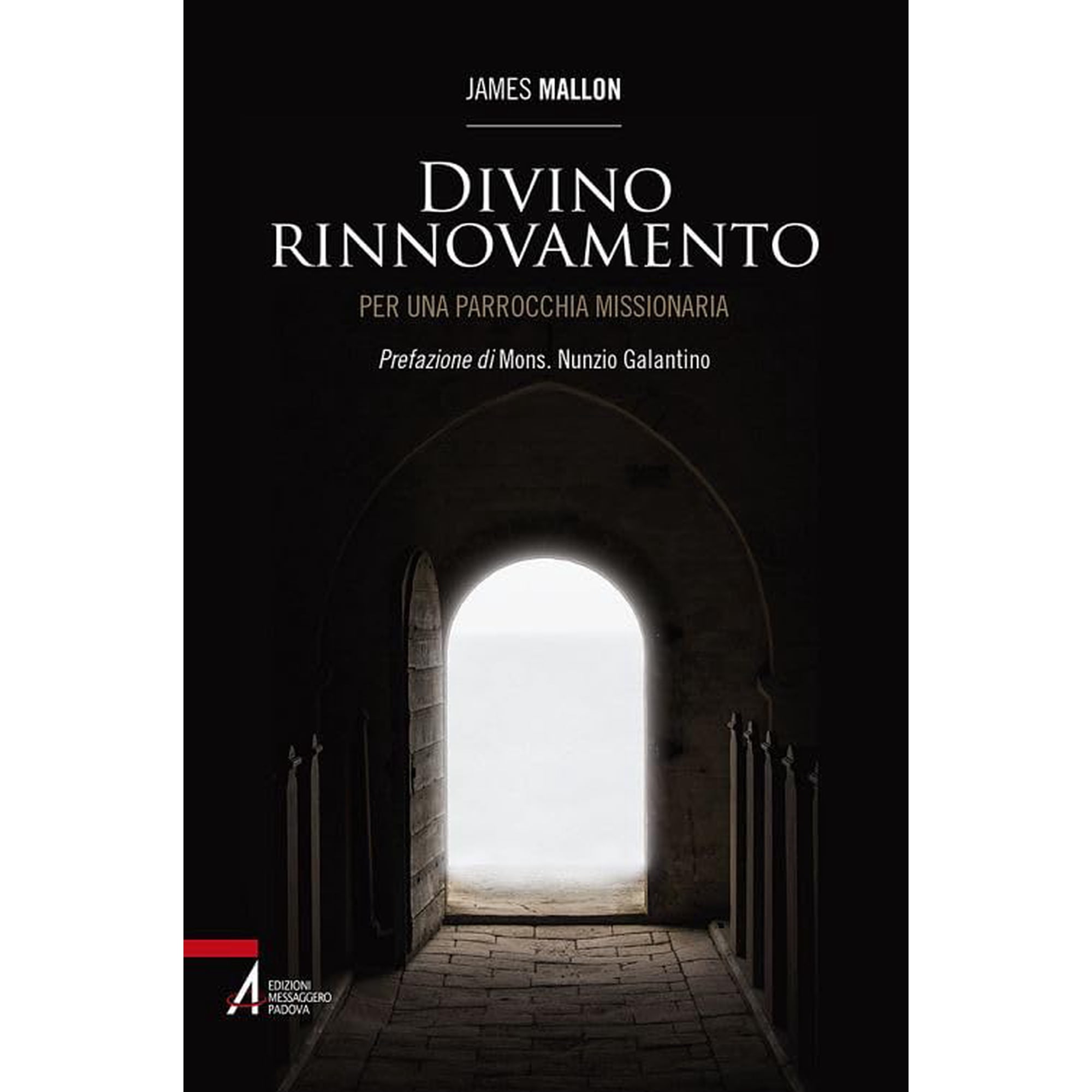 James Mallon Nunzio Galantino Luigi D Divino rinnovamento. Per una parrocchia miss (Paperback)