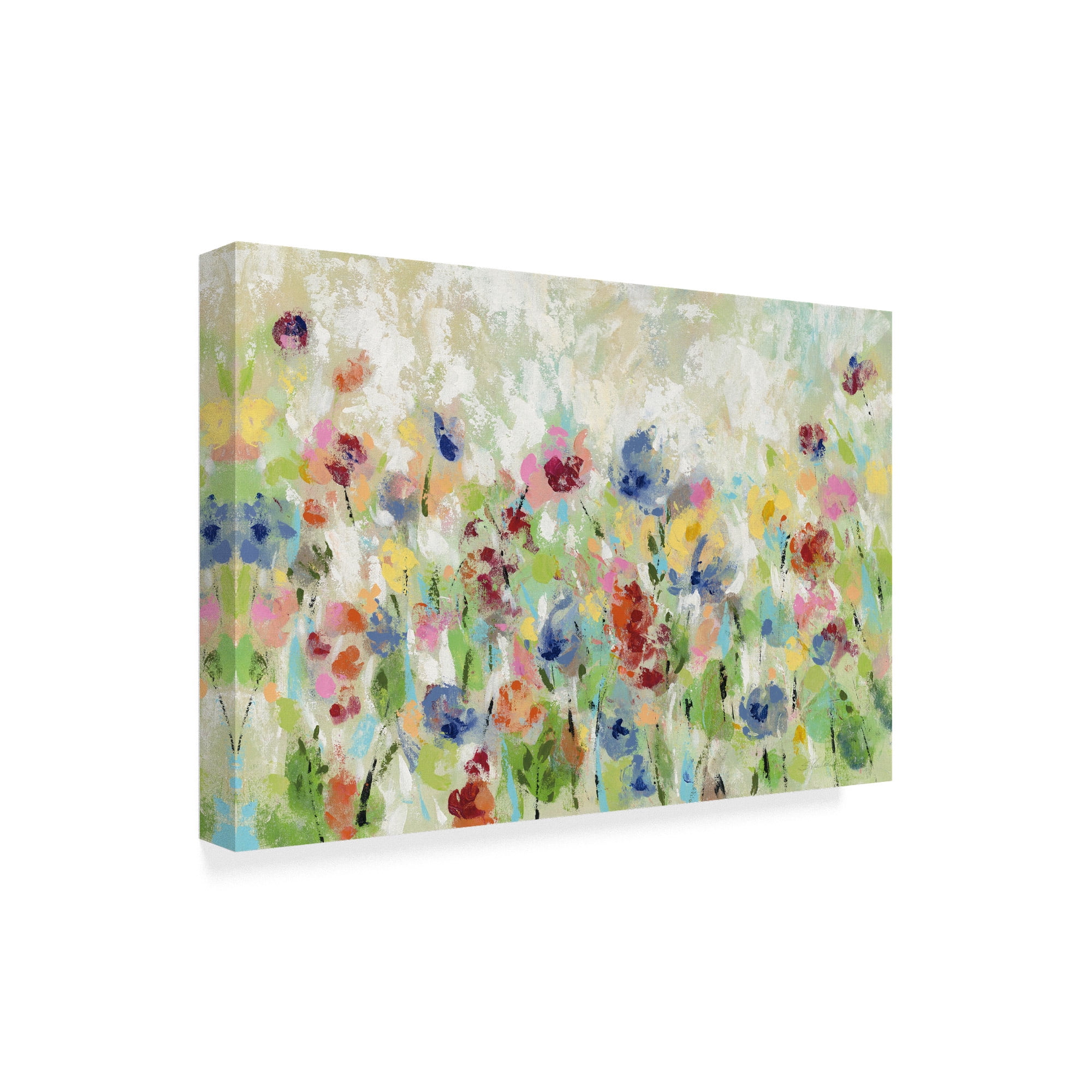 Trademark Fine Art 'Springtime Meadow Flowers' Canvas Art by Silvia Vassileva