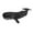 C, variant on Sperm whale simulation Marine animal model Solid simulation whale toy