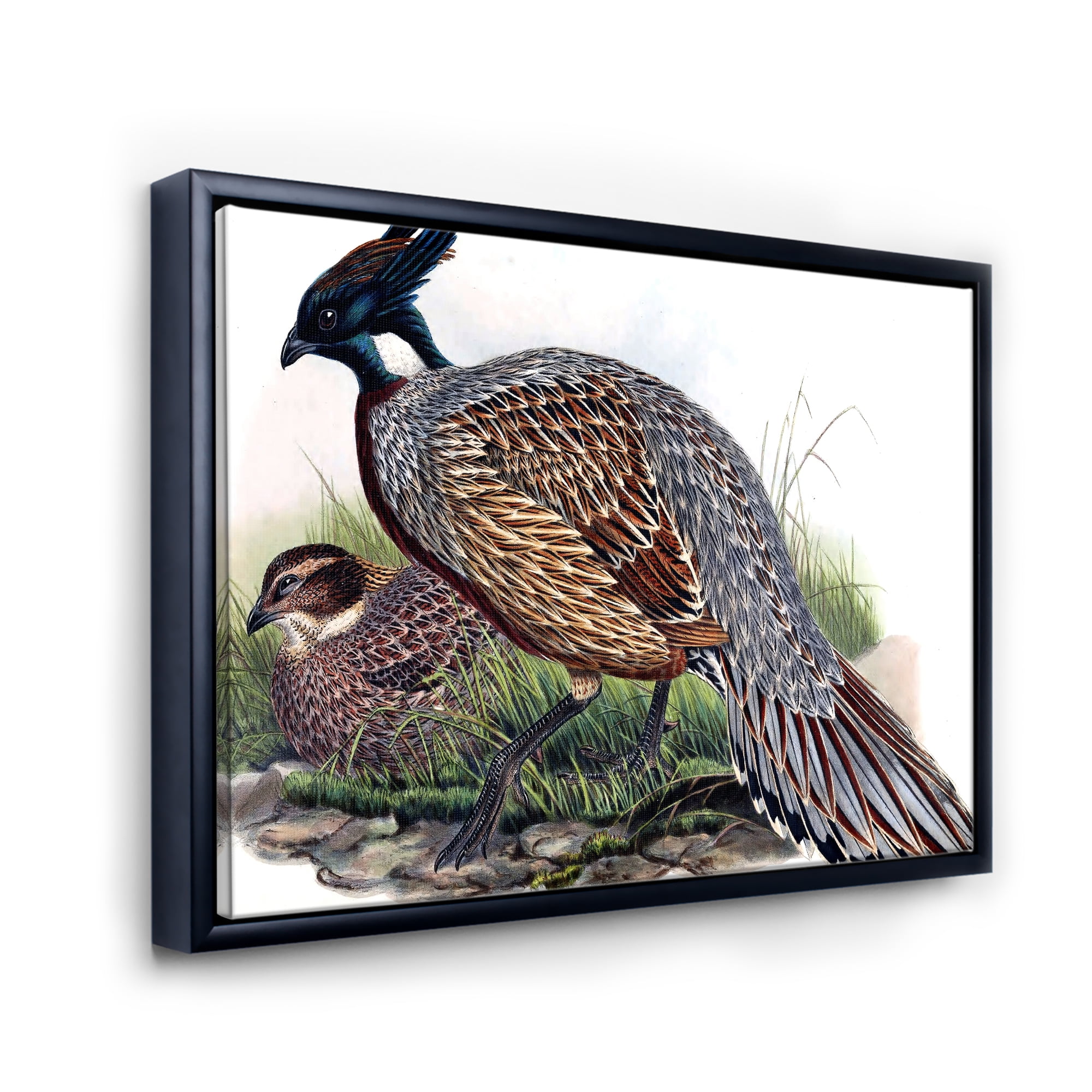 Close Up Of Vintage Countryside Birds 32 in x 16 in Framed Painting Canvas Art Print, by Designart