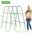 View all media
