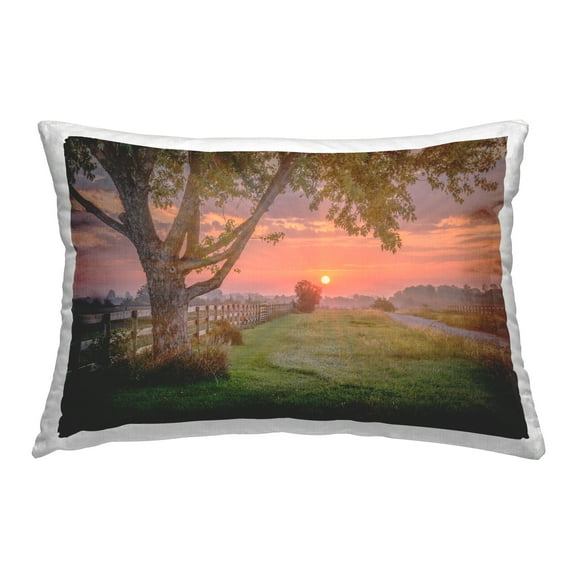 Stupell Industries Bold Sunrise in Countryside Decorative Printed Throw Pillow Design by Marty Hulsebos.