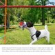 thumbnail image 5 of Al aire libre Tug Toy War para perro Molar Bite Squeaky Rope, 5 of 8