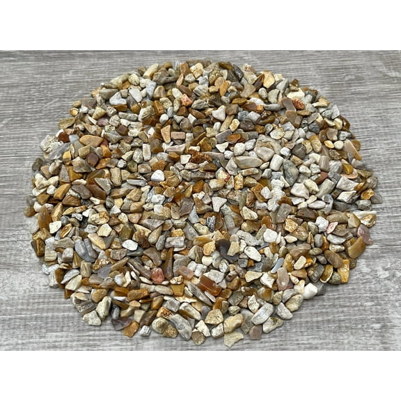 WHOLESALE Natural Semi Tumbled Fossil Coral Gemstone Chips ( 2 oz / 0.125 lb )