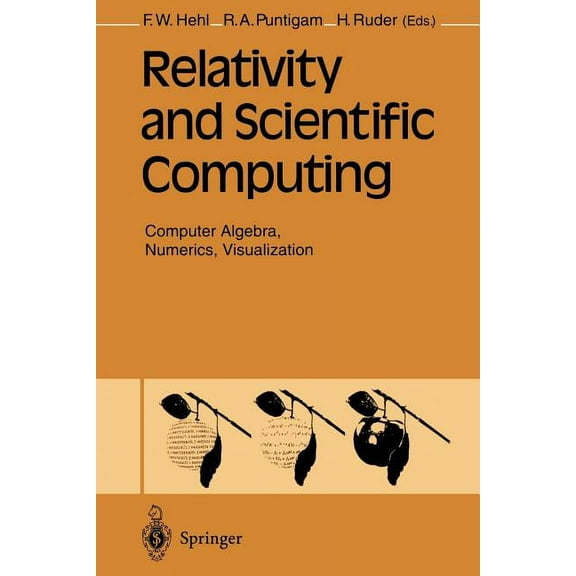 Relativity and Scientific Computing: Computer Algebra, Numerics, Visualization, (Paperback)