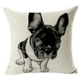 thumbnail image 1 of Cow Animal Print Pillow Set - Soft Cushions for Sofa and Home Decor, 1 of 6