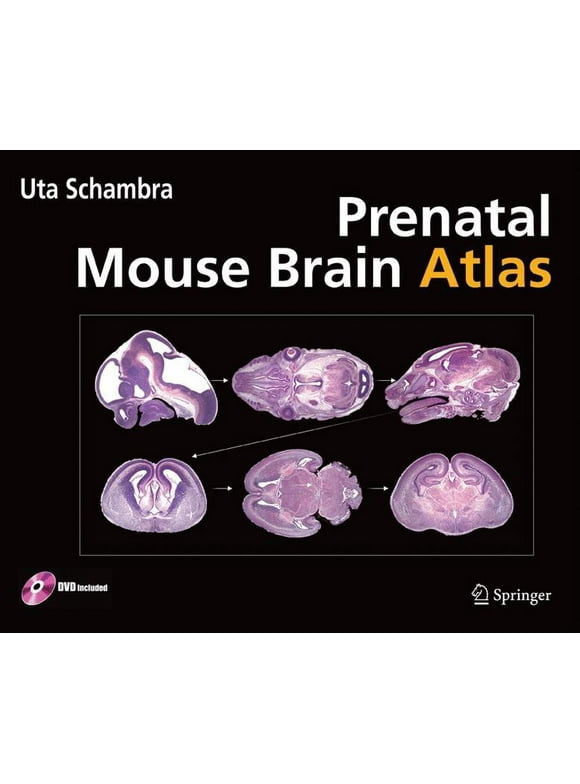 Prenatal Mouse Brain Atlas : Color Images and Annotated Diagrams Of: Gestational Days 12, 14, 16 and 18 Sagittal, Coronal and Horizontal Section