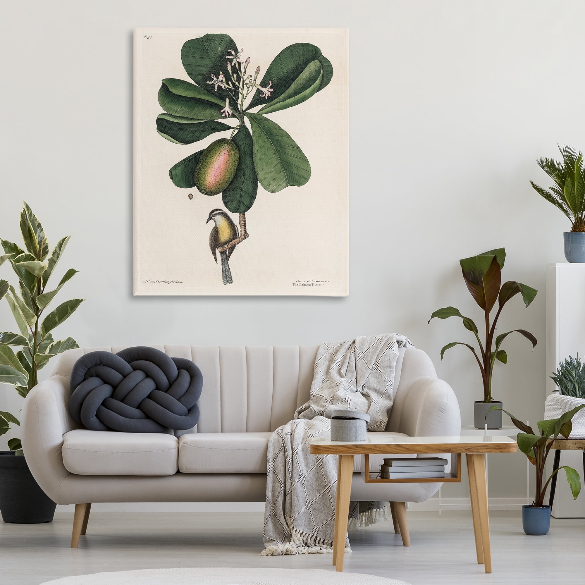 Stupell Industries Catesby Flora & Fauna Canvas Wall Art, design by Print Collection