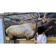 thumbnail image 5 of Elk Target - Full Size Elk Archery & Rifle Target (Life Size), 5 of 5