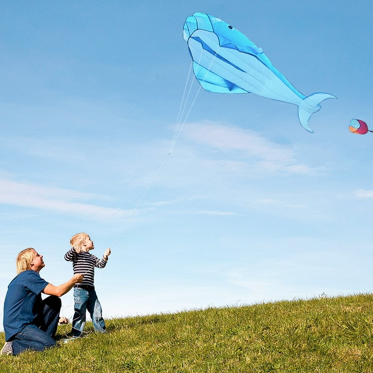 Topcobe 3D Giant Frameless Soft Parafoil Kite for Outdoor & Beach & Park &  Garden, Blue, Dolphin Shape (Not Included Line)