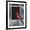 Black Frame, variant on Art.com Cardinal Window Art Print by Chris Vest, 12" x 16"